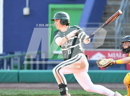 Thumbnail 3 in Deerfield @ Westminster (Dunkin' Park Series) photogallery.