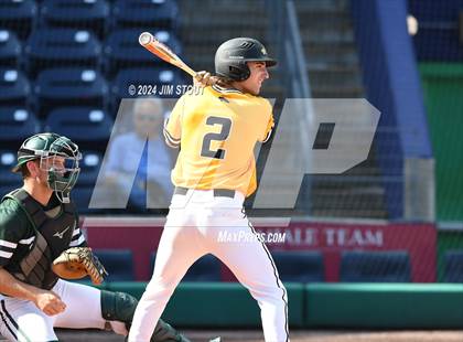 Thumbnail 3 in Deerfield @ Westminster (Dunkin' Park Series) photogallery.