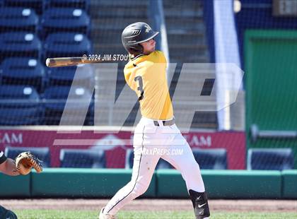 Thumbnail 3 in Deerfield @ Westminster (Dunkin' Park Series) photogallery.