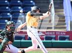 Photo from the gallery "Deerfield @ Westminster (Dunkin' Park Series)"