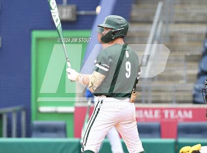 Thumbnail 3 in Deerfield @ Westminster (Dunkin' Park Series) photogallery.