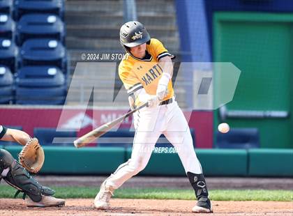 Thumbnail 3 in Deerfield @ Westminster (Dunkin' Park Series) photogallery.