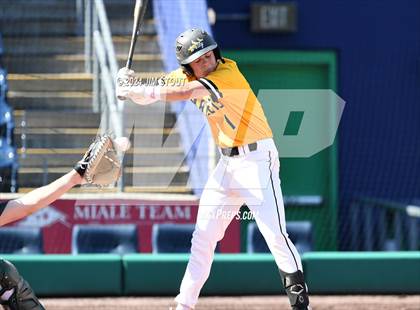 Thumbnail 1 in Deerfield @ Westminster (Dunkin' Park Series) photogallery.