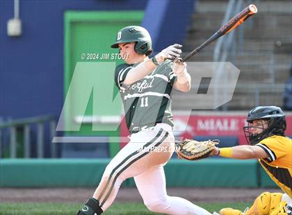 Thumbnail 2 in Deerfield @ Westminster (Dunkin' Park Series) photogallery.