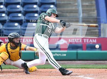 Thumbnail 3 in Deerfield @ Westminster (Dunkin' Park Series) photogallery.