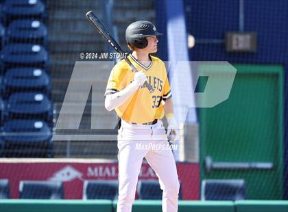 Thumbnail 1 in Deerfield @ Westminster (Dunkin' Park Series) photogallery.