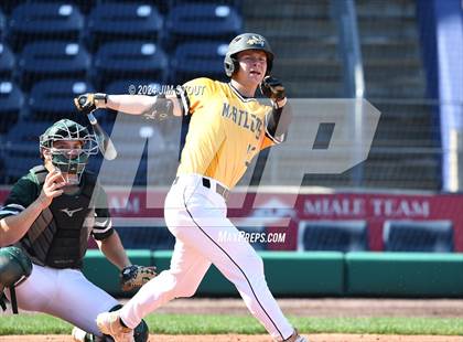 Thumbnail 3 in Deerfield @ Westminster (Dunkin' Park Series) photogallery.