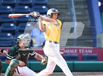 Thumbnail 3 in Deerfield @ Westminster (Dunkin' Park Series) photogallery.