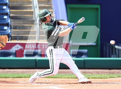Thumbnail 3 in Deerfield @ Westminster (Dunkin' Park Series) photogallery.
