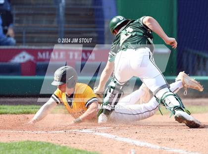Thumbnail 3 in Deerfield @ Westminster (Dunkin' Park Series) photogallery.