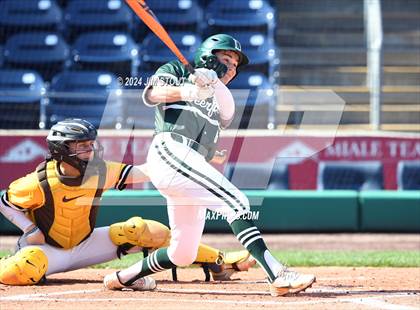 Thumbnail 1 in Deerfield @ Westminster (Dunkin' Park Series) photogallery.