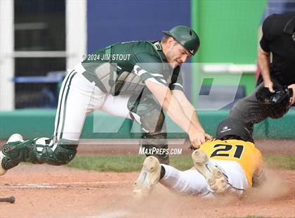 Thumbnail 1 in Deerfield @ Westminster (Dunkin' Park Series) photogallery.