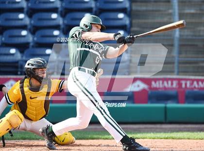 Thumbnail 2 in Deerfield @ Westminster (Dunkin' Park Series) photogallery.
