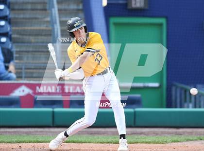 Thumbnail 3 in Deerfield @ Westminster (Dunkin' Park Series) photogallery.