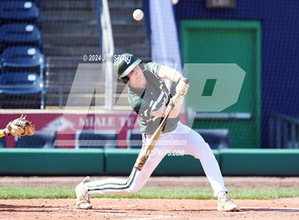 Thumbnail 3 in Deerfield @ Westminster (Dunkin' Park Series) photogallery.