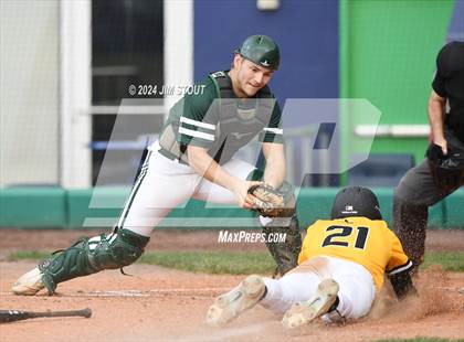 Thumbnail 3 in Deerfield @ Westminster (Dunkin' Park Series) photogallery.