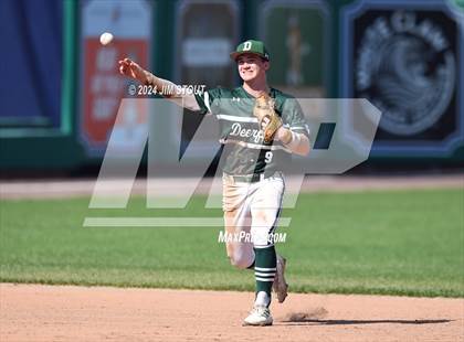 Thumbnail 3 in Deerfield @ Westminster (Dunkin' Park Series) photogallery.