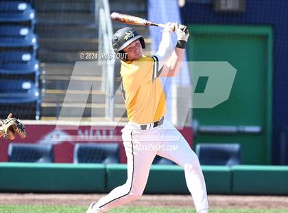 Thumbnail 3 in Deerfield @ Westminster (Dunkin' Park Series) photogallery.