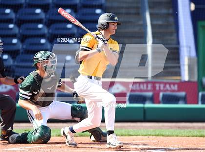 Thumbnail 3 in Deerfield @ Westminster (Dunkin' Park Series) photogallery.