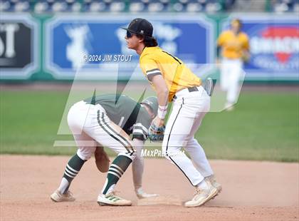 Thumbnail 2 in Deerfield @ Westminster (Dunkin' Park Series) photogallery.