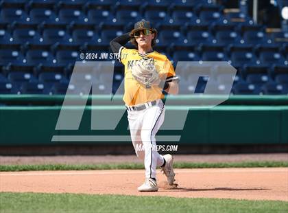 Thumbnail 2 in Deerfield @ Westminster (Dunkin' Park Series) photogallery.