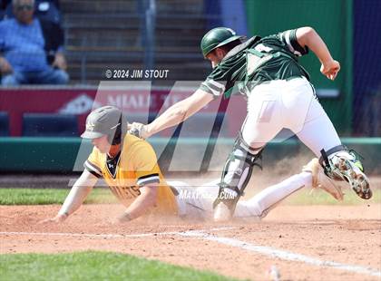 Thumbnail 1 in Deerfield @ Westminster (Dunkin' Park Series) photogallery.