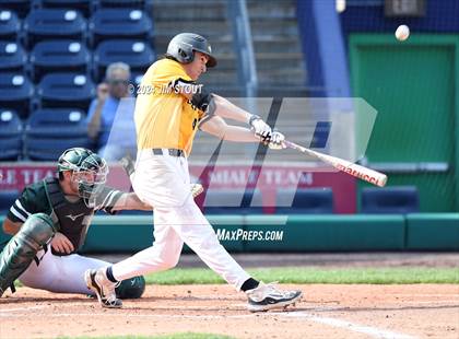 Thumbnail 1 in Deerfield @ Westminster (Dunkin' Park Series) photogallery.