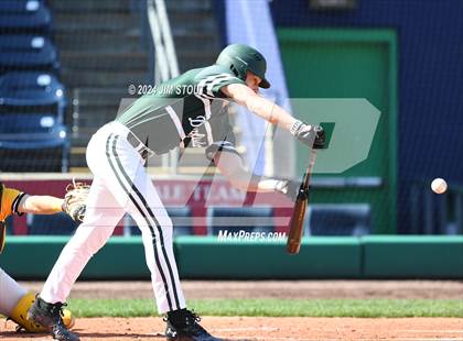 Thumbnail 3 in Deerfield @ Westminster (Dunkin' Park Series) photogallery.