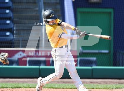 Thumbnail 3 in Deerfield @ Westminster (Dunkin' Park Series) photogallery.