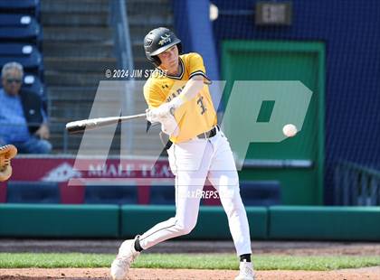 Thumbnail 3 in Deerfield @ Westminster (Dunkin' Park Series) photogallery.