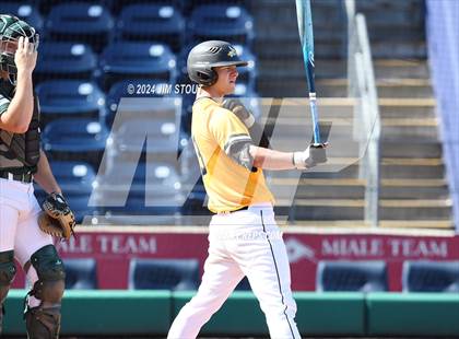 Thumbnail 3 in Deerfield @ Westminster (Dunkin' Park Series) photogallery.