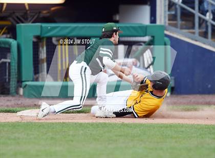 Thumbnail 2 in Deerfield @ Westminster (Dunkin' Park Series) photogallery.