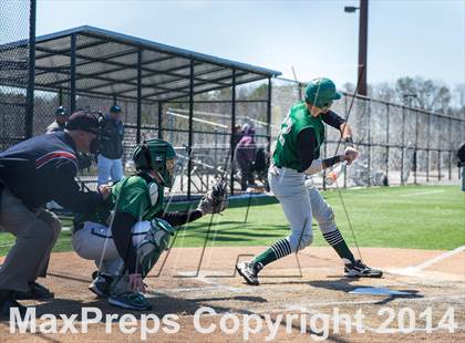 Thumbnail 3 in Longwood @ William Floyd photogallery.
