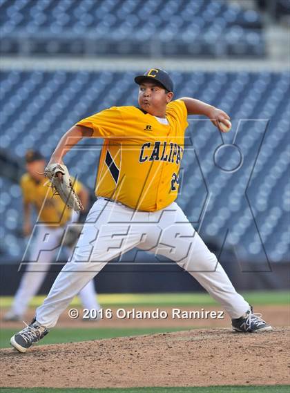 Thumbnail 1 in Calipatria vs Julian (Petco Park) photogallery.