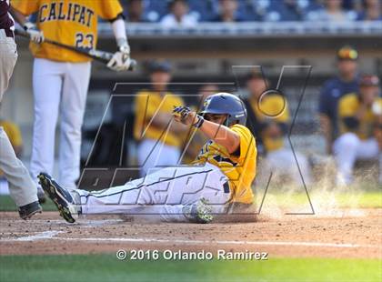 Thumbnail 2 in Calipatria vs Julian (Petco Park) photogallery.