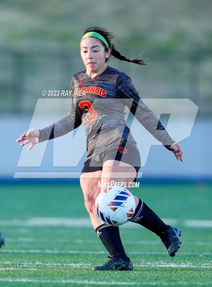 Thumbnail 3 in St. Francis vs. Del Oro (CIF SJS D2 Final) photogallery.