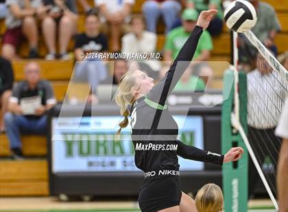 Thumbnail 1 in Westfield @Yorktown  photogallery.