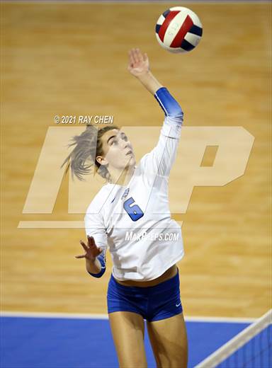 null - Photo 11