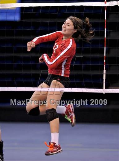 null - Photo 81