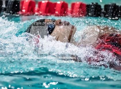 Thumbnail 3 in Albuquerque Academy Swim Meet  photogallery.