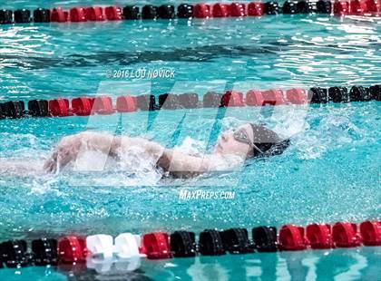 Thumbnail 3 in Albuquerque Academy Swim Meet  photogallery.