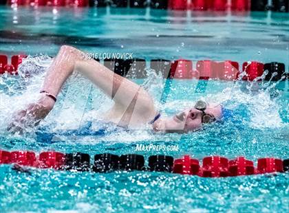 Thumbnail 1 in Albuquerque Academy Swim Meet  photogallery.