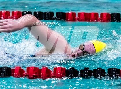 Thumbnail 1 in Albuquerque Academy Swim Meet  photogallery.