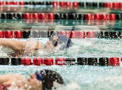 Thumbnail 3 in Albuquerque Academy Swim Meet  photogallery.
