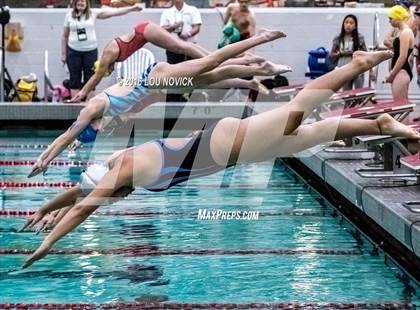 Thumbnail 2 in Albuquerque Academy Swim Meet  photogallery.