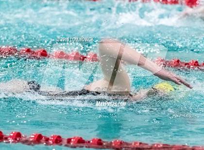 Thumbnail 1 in Albuquerque Academy Swim Meet  photogallery.