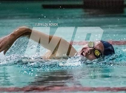 Thumbnail 1 in Albuquerque Academy Swim Meet  photogallery.