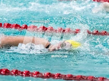 Thumbnail 3 in Albuquerque Academy Swim Meet  photogallery.