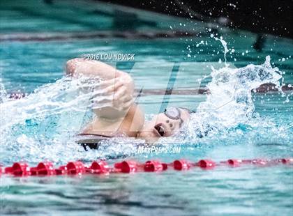 Thumbnail 1 in Albuquerque Academy Swim Meet  photogallery.