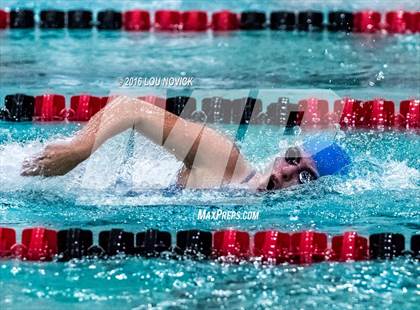 Thumbnail 3 in Albuquerque Academy Swim Meet  photogallery.